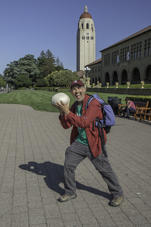 giant puffball